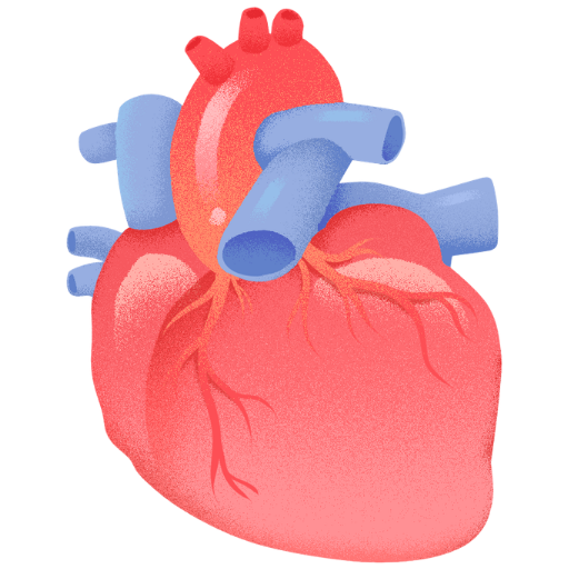 Heart Valve Surgery in India
